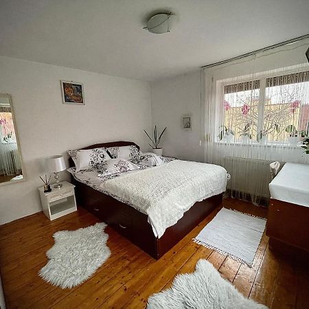 Вилла Ada-Ini House Крайова Экстерьер фото